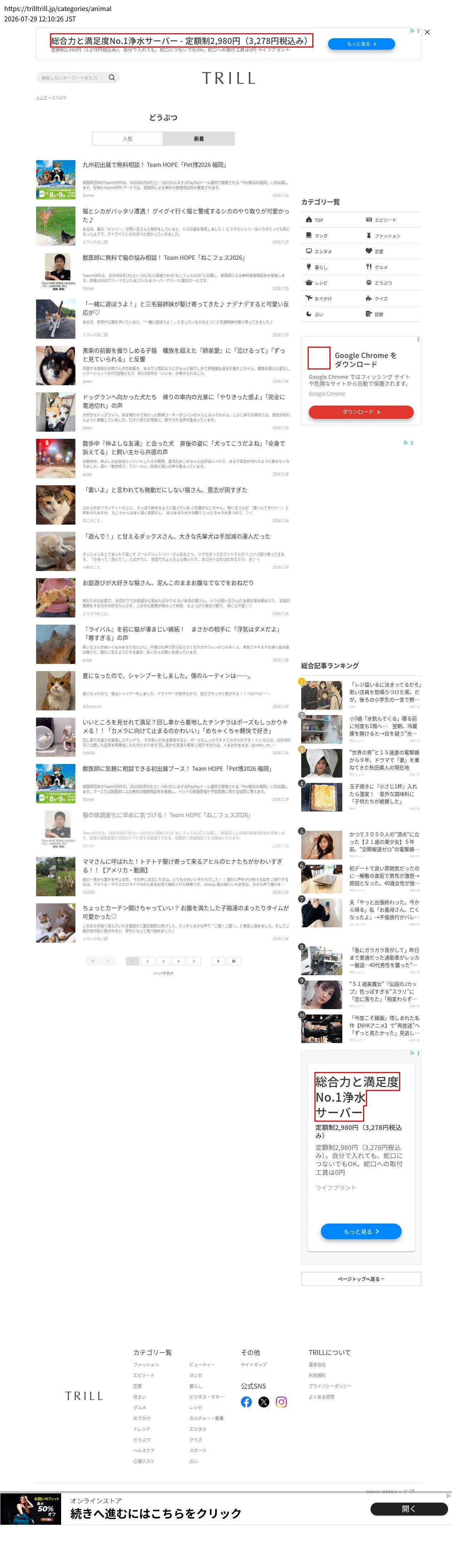 top highlighted